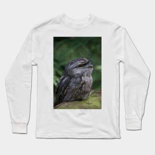 Tawny Stare Long Sleeve T-Shirt